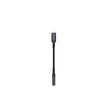 Devia Ipure Series IP To 3.5mm Adapter - EC090 - Black