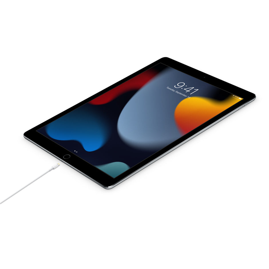 كابل USB-C إلى لايتنينج