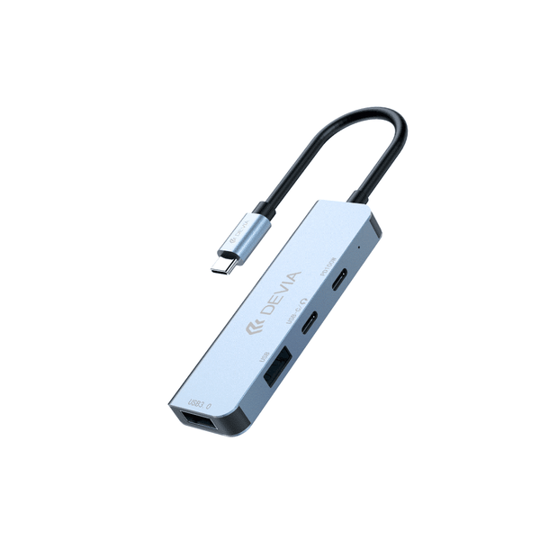 DEVIA Leopard Series Type-C To USB*2+C+PD 100W 4 In 1 HUB
