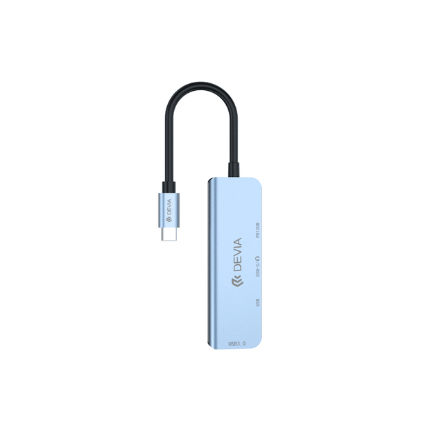 DEVIA Leopard Series Type-C To USB*2+C+PD 100W 4 In 1 HUB