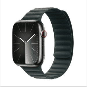 DEVIA Deluxe Series Magnetic Fiber Watch Band