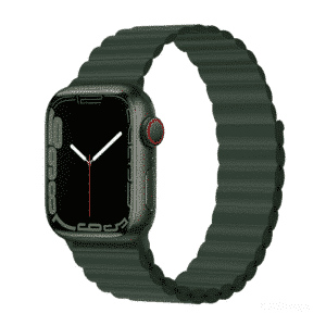 DEVIA Deluxe Series Sport3 Silicone Magnet Watch Band for Apple Watch (sequoia)